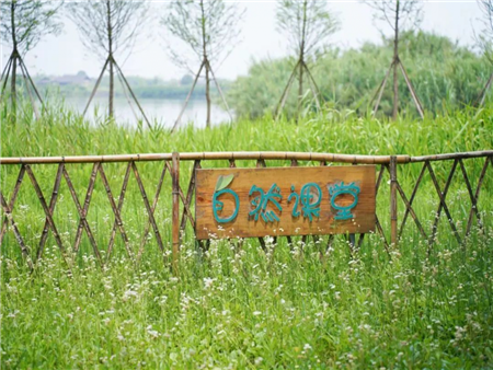 杭州灣國家濕地公園3