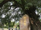 漳州云水謠、火山島、海絲泉州高鐵療休養(yǎng)4晚5天