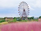“身在都市 夢回原鄉”--達人村觀光一日游
